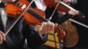 Goppisberger Music Festival